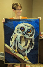 Load image into Gallery viewer, Person holding a quilt with an owl design in a room setting
