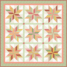 Load image into Gallery viewer, Quilt with star pattern in pastel colors on a green background
